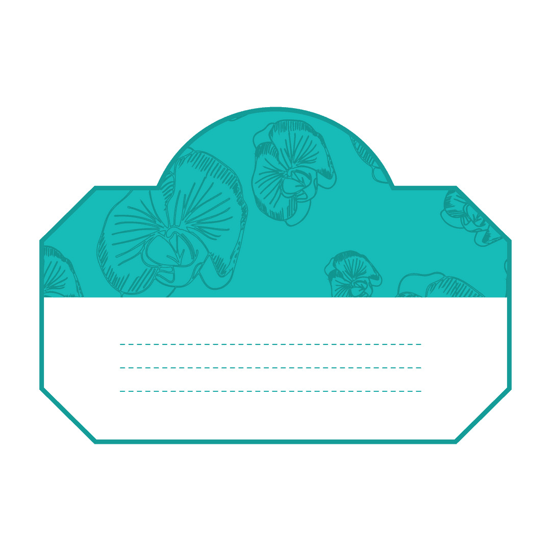 Floral Pattern Shape with Writable Space on Transparent Background