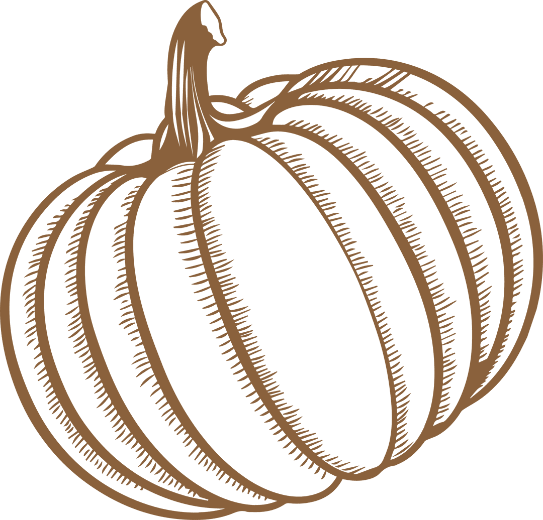 Illustration of Ribbed Pumpkin with Stylized Shading Transparent Design