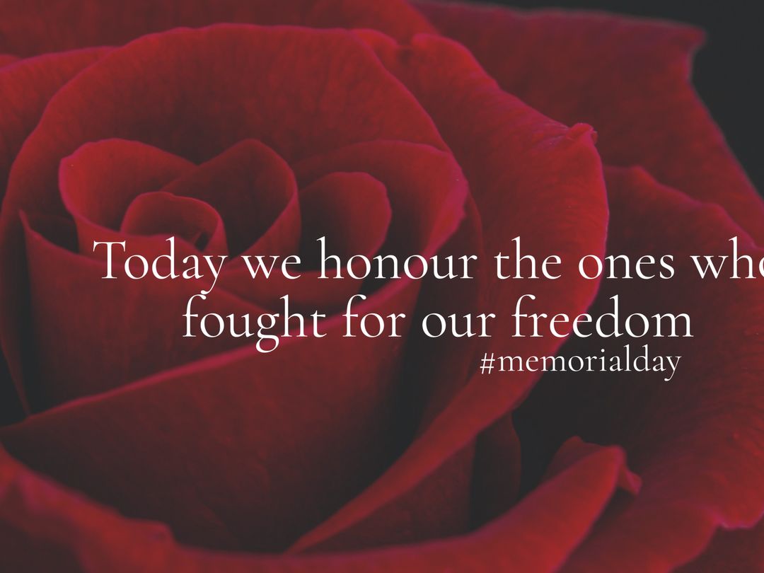 Red Rose with Memorial Day Tribute Message