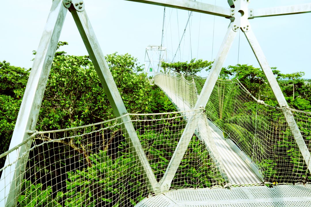 Suspension Bridge in Lush Green Forest Canopy - Free Images, Stock Photos and Pictures on Pikwizard.com