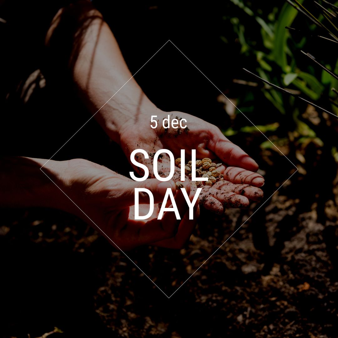 World Soil Day with Hands Holding Seeds in Nature