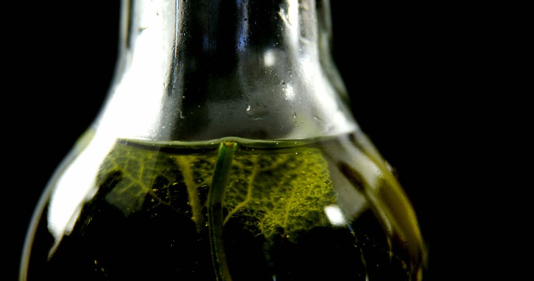 Close-Up of Herb Infused Olive Oil in Glass Bottle - Free Images, Stock Photos and Pictures on Pikwizard.com