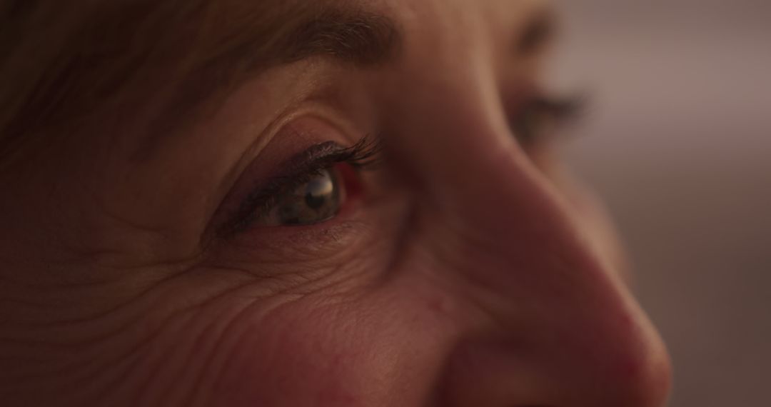 Close-Up of Mature Woman's Eyes with Wrinkles in Warm Lighting - Free Images, Stock Photos and Pictures on Pikwizard.com