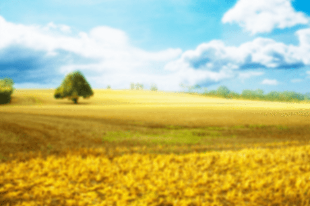 Blurred Countryside with Transparent Fields and Blue Sky