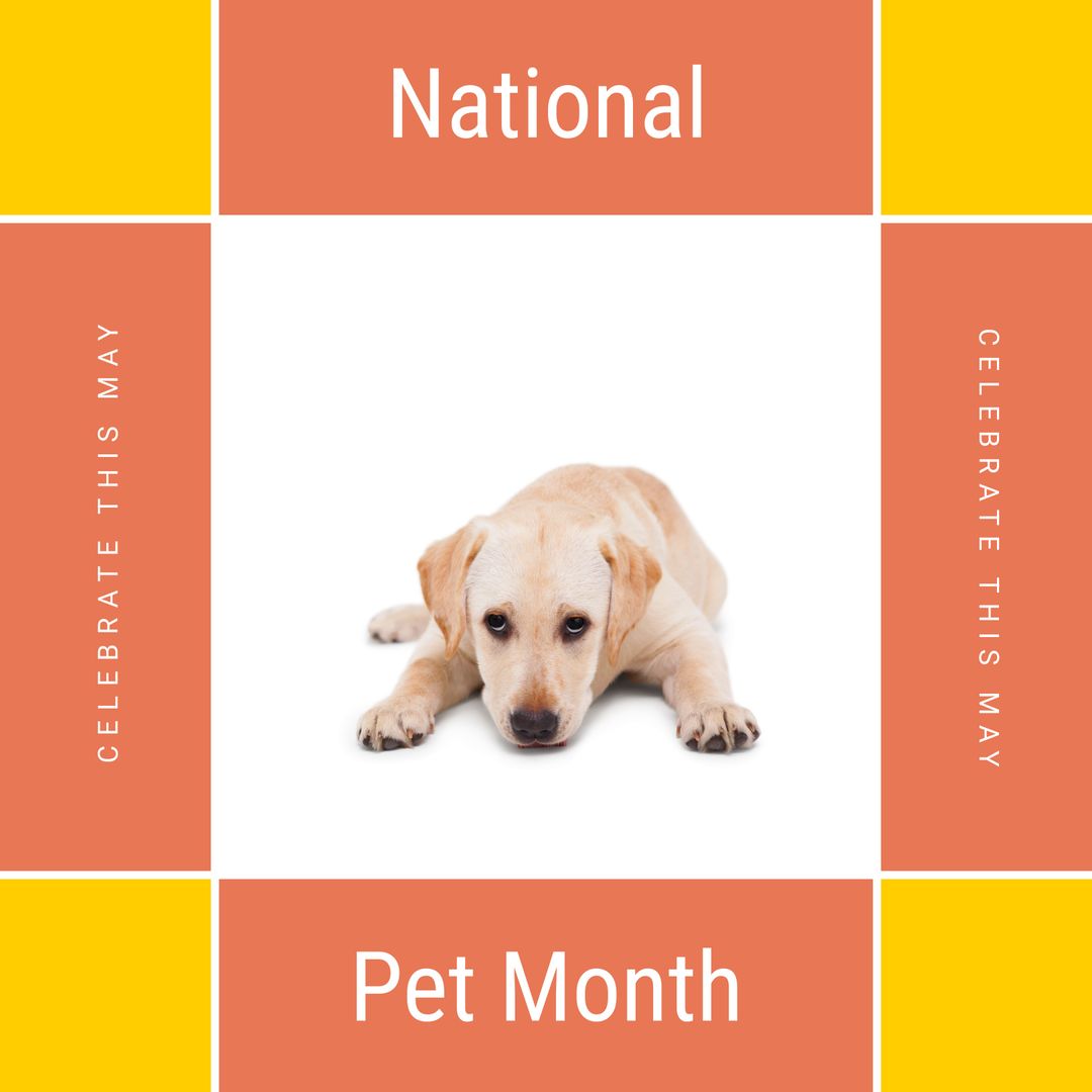 Puppy Lying Down Illustrating National Pet Month Celebration