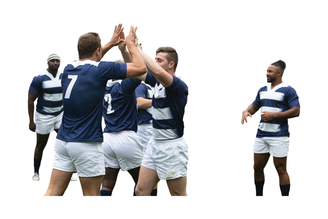 Diverse Male Rugby Players High-Fiving on Transparent Background - Download Free Stock Images Pikwizard.com