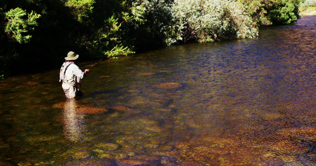 Man Fly Fishing in Pristine River with Lush Vegetation - Free Images, Stock Photos and Pictures on Pikwizard.com