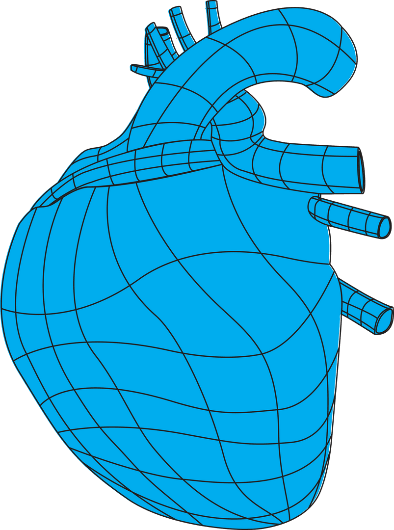 Transparent Blue Heart Structure for Medical Illustrations