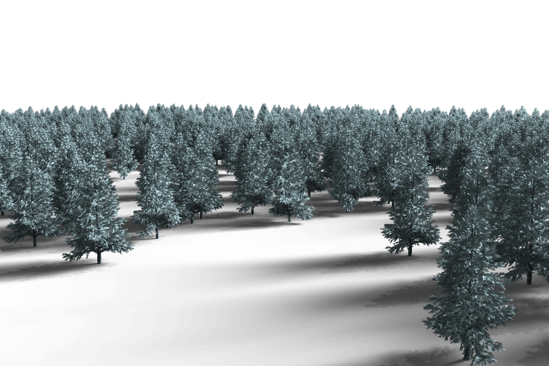 Winter Tree Landscape with Transparent Reflection Effect