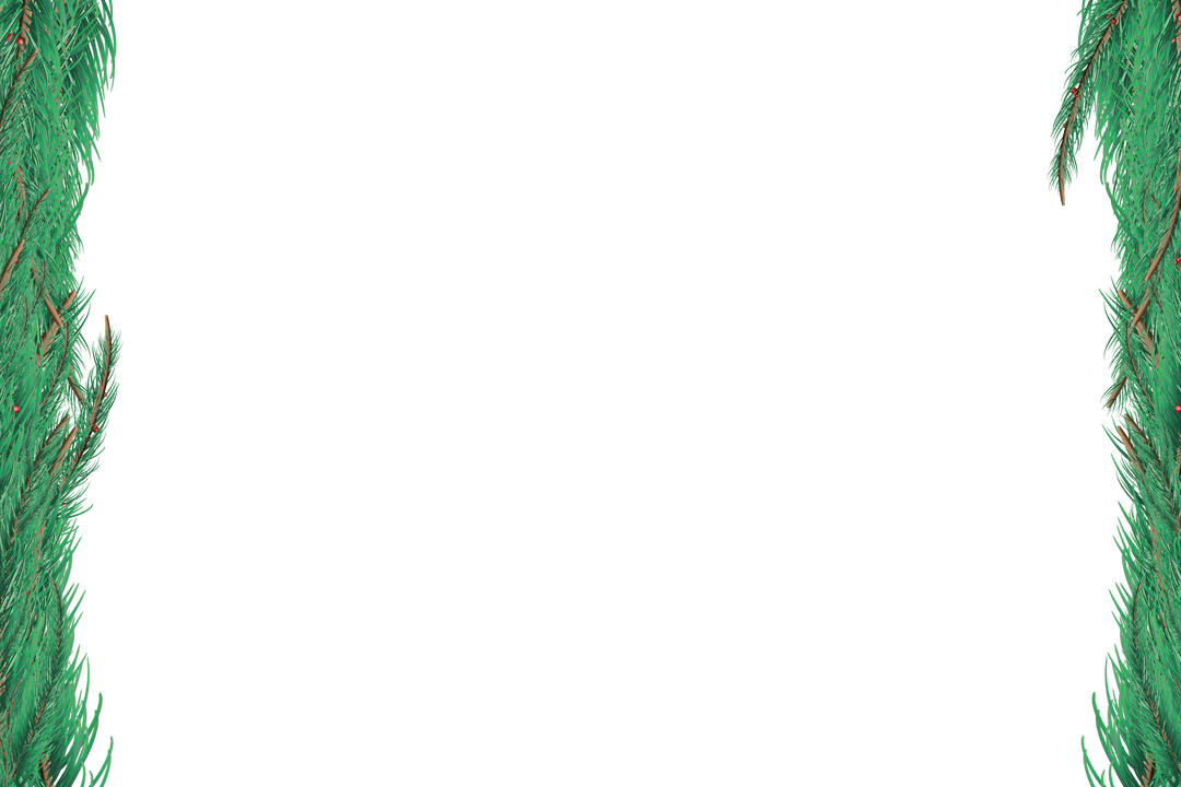 Transparent Frame of Green Fir Tree Branches