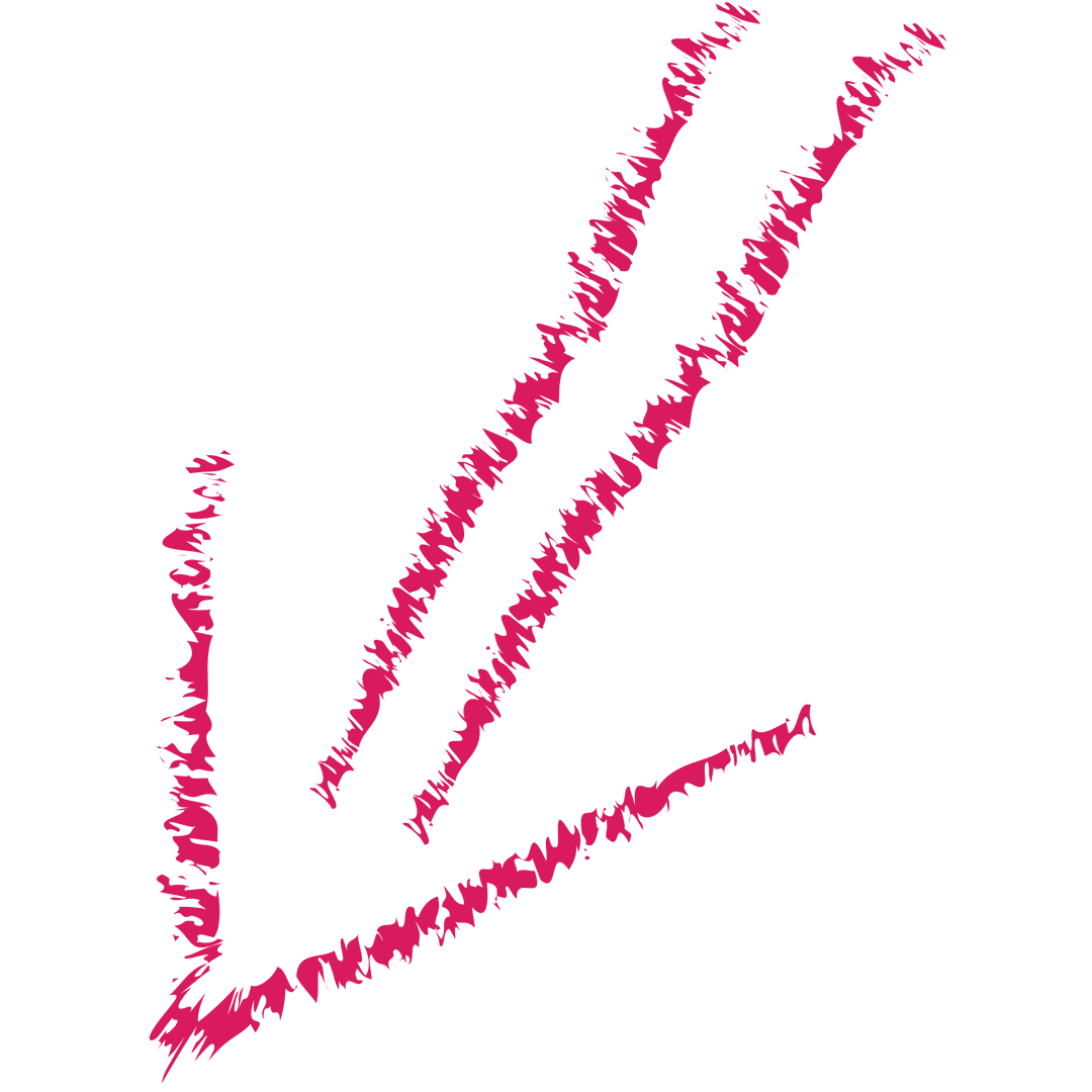 Hand-Drawn Purple Arrow Symbol on Transparent Background