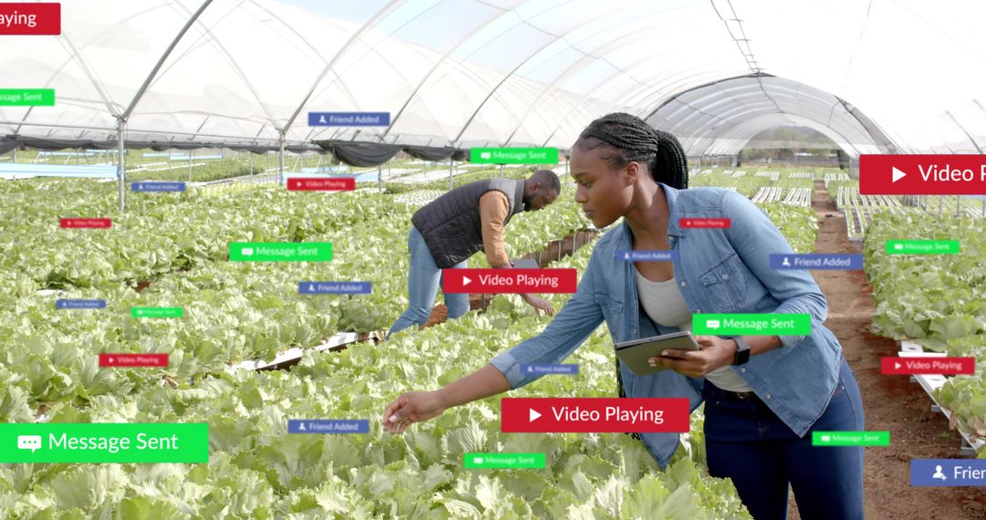 Smart Farming Technology in a Modern Greenhouse
