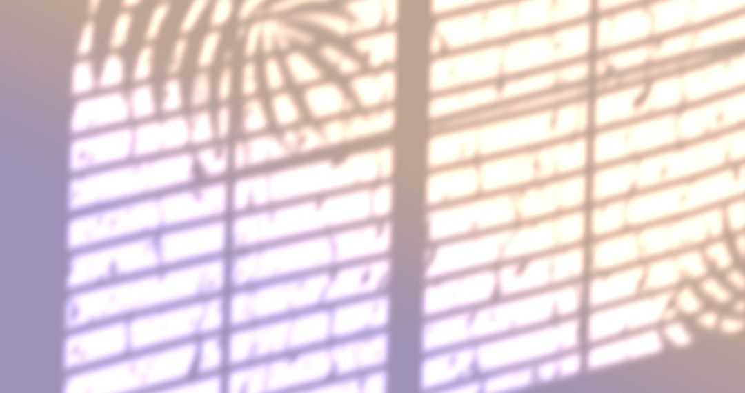 Abstract Shadow Patterns from Window Blinds and Leaves