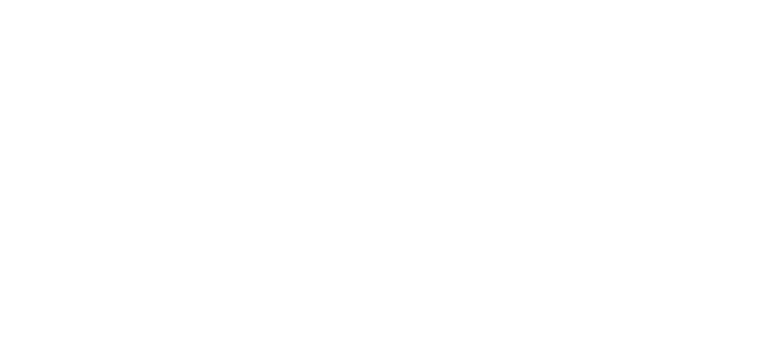 White Bat Silhouette on Transparent Background