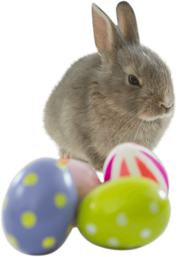Cute Brown Bunny with Colorful Easter Eggs on White Background