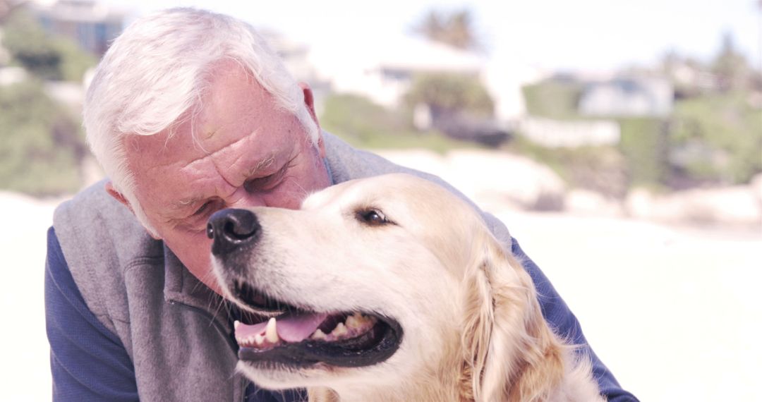 Old retired man embracing his dog on the beach - Free Images, Stock Photos and Pictures on Pikwizard.com