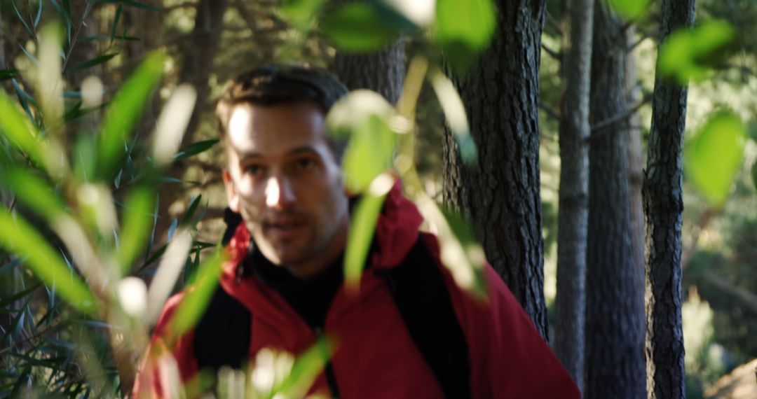 Man in Red Jacket Exploring Forest Through Foliage