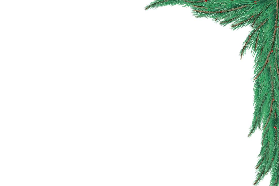 Christmas Fir Tree Branch on Transparent Background