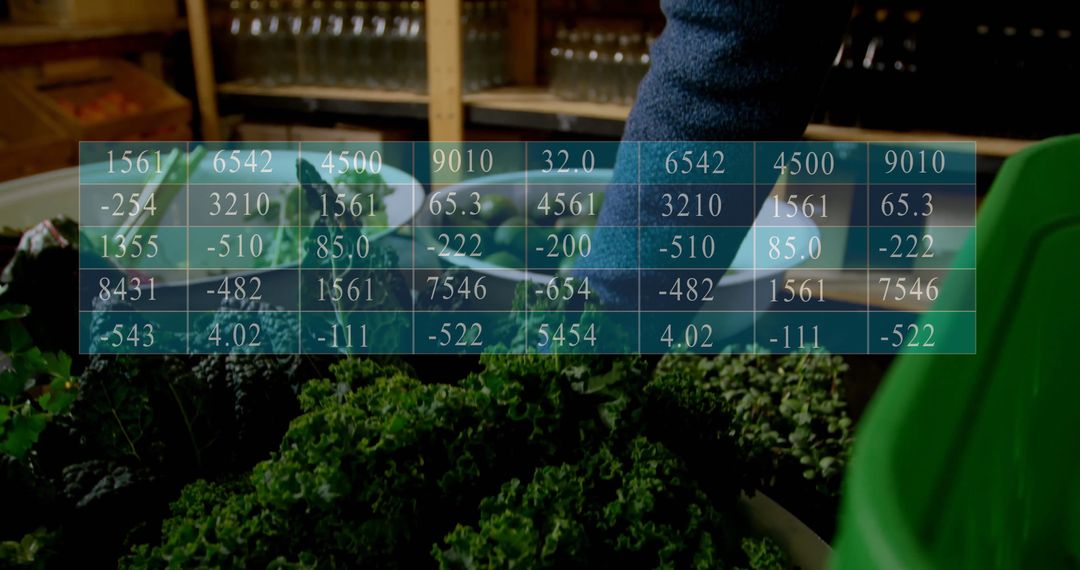 Data Overlay on Vegetable Harvesting Process