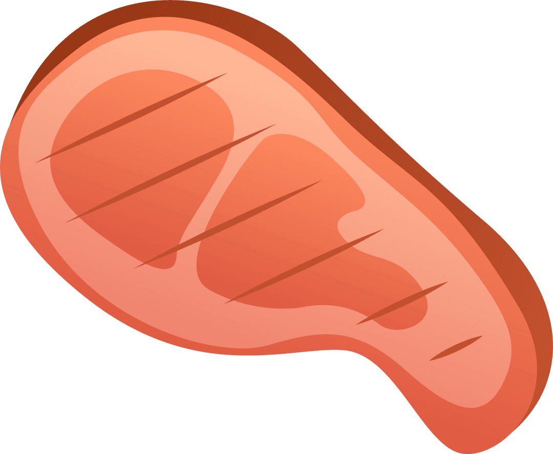Stylized Raw Steak Illustration Transparent Background
