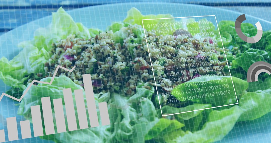 Healthy Lettuce and Grain Salad with Digital Innovation Elements