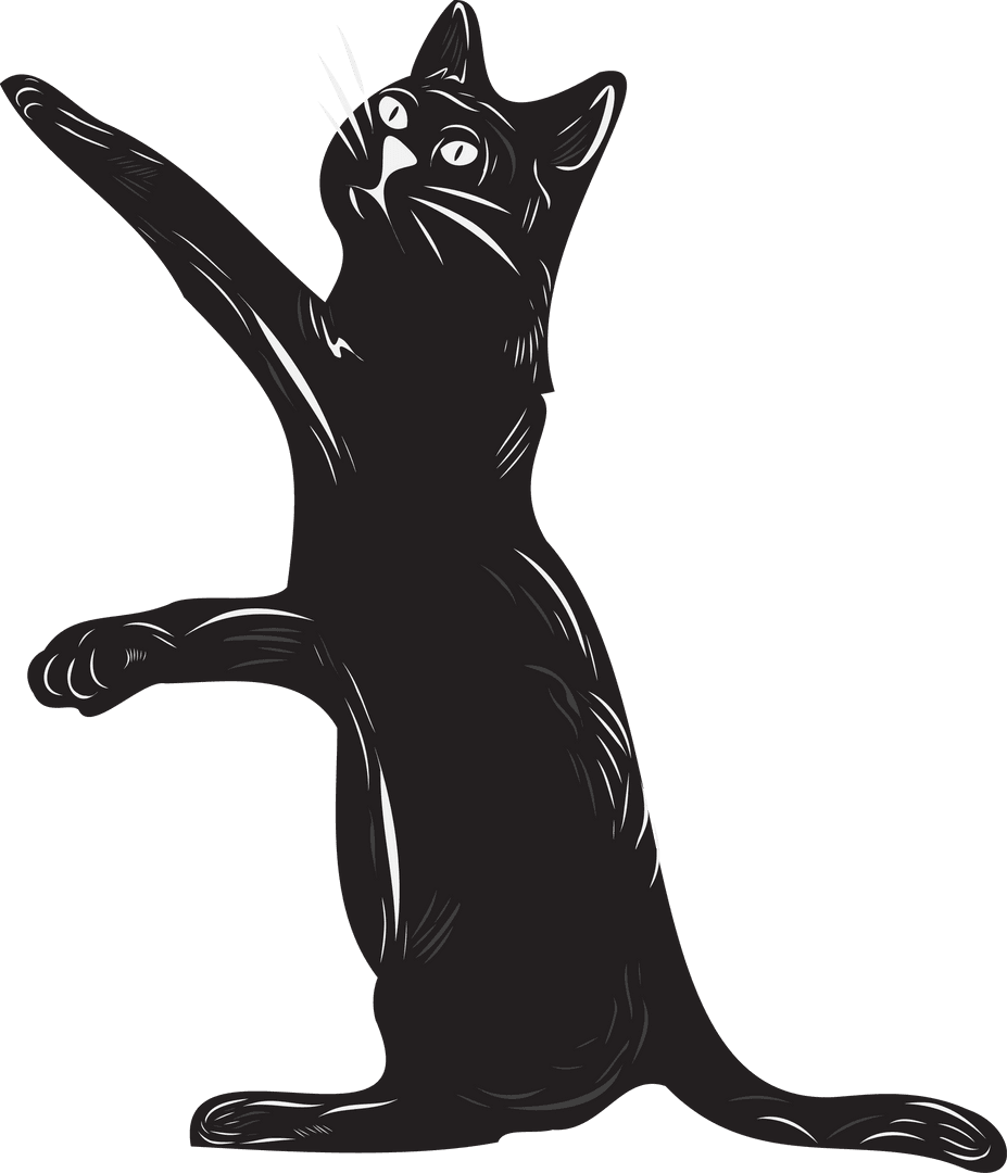 Stylized Black Cat Standing Upright with Whimsical White Accents