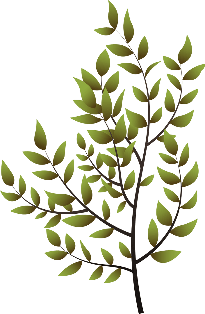 3D Render Green Leaves Branching on Transparent Background