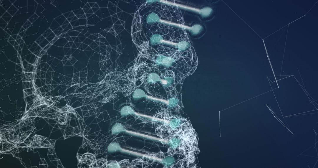 Futuristic DNA and Human Skull Interface Visualization on Neural Network