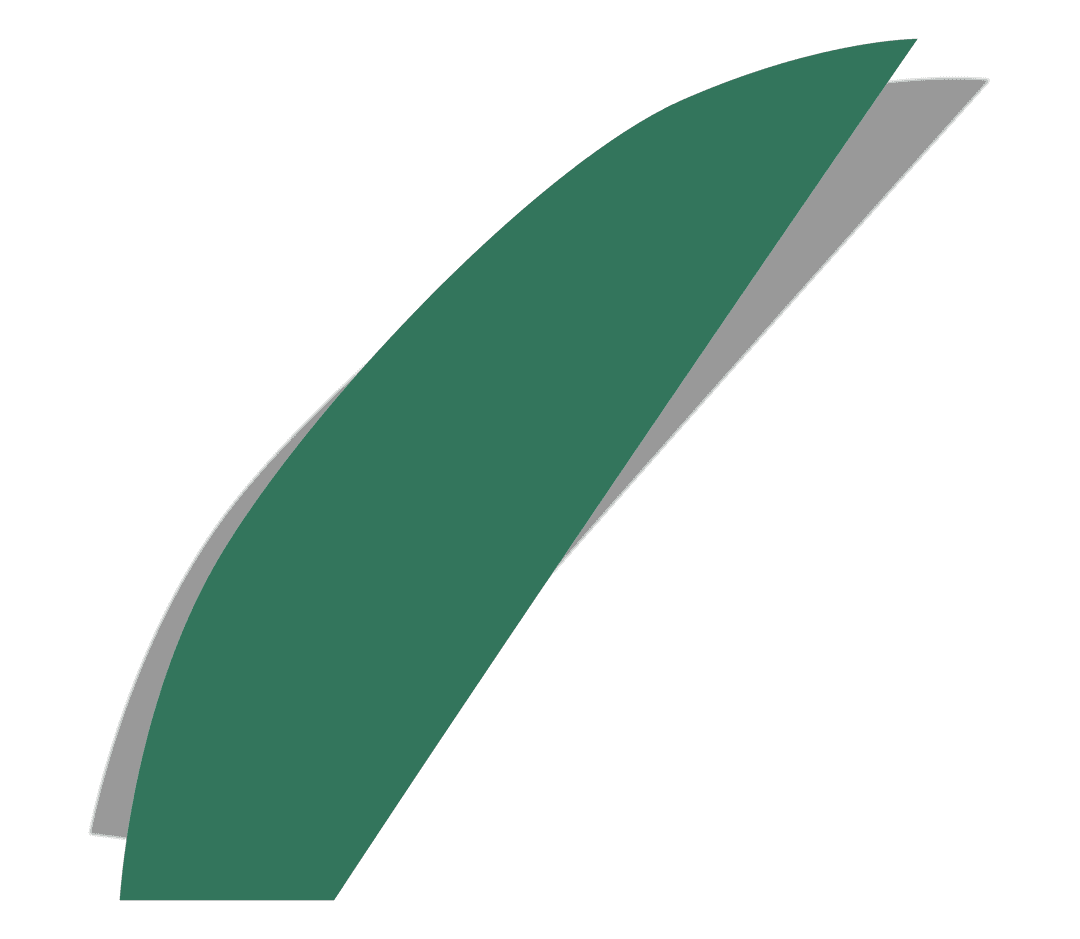 Minimal Abstract Green Leaf on Transparent Curve Design
