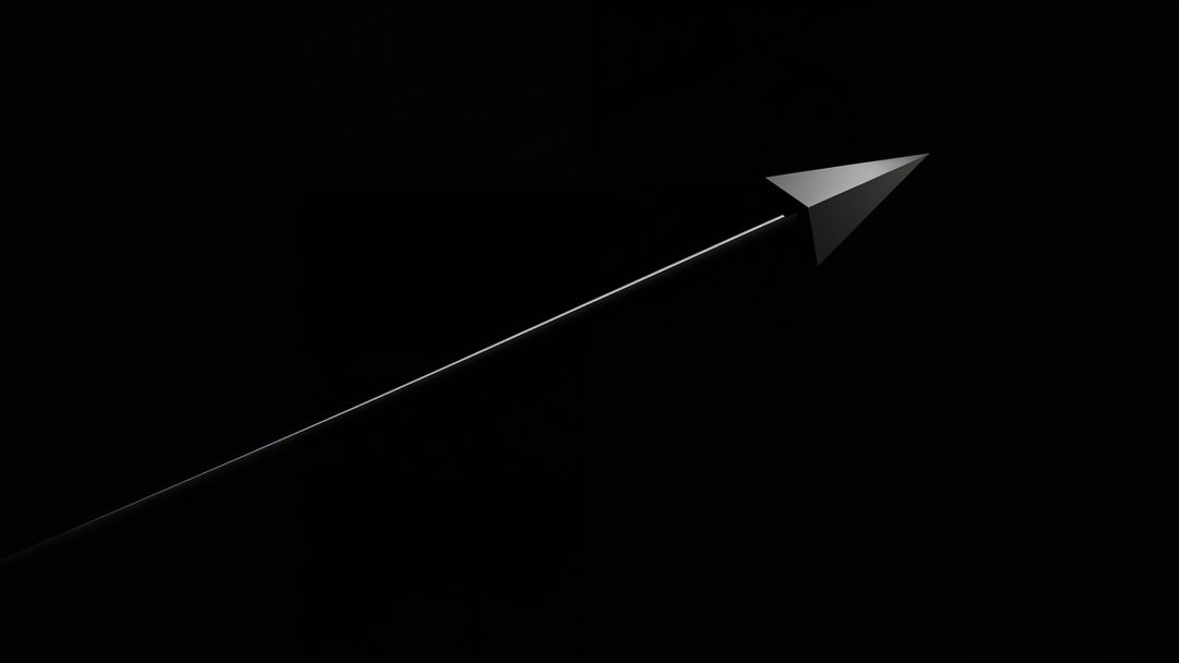 Minimalist Black Aircraft in Abstract Style with Reflective Surface