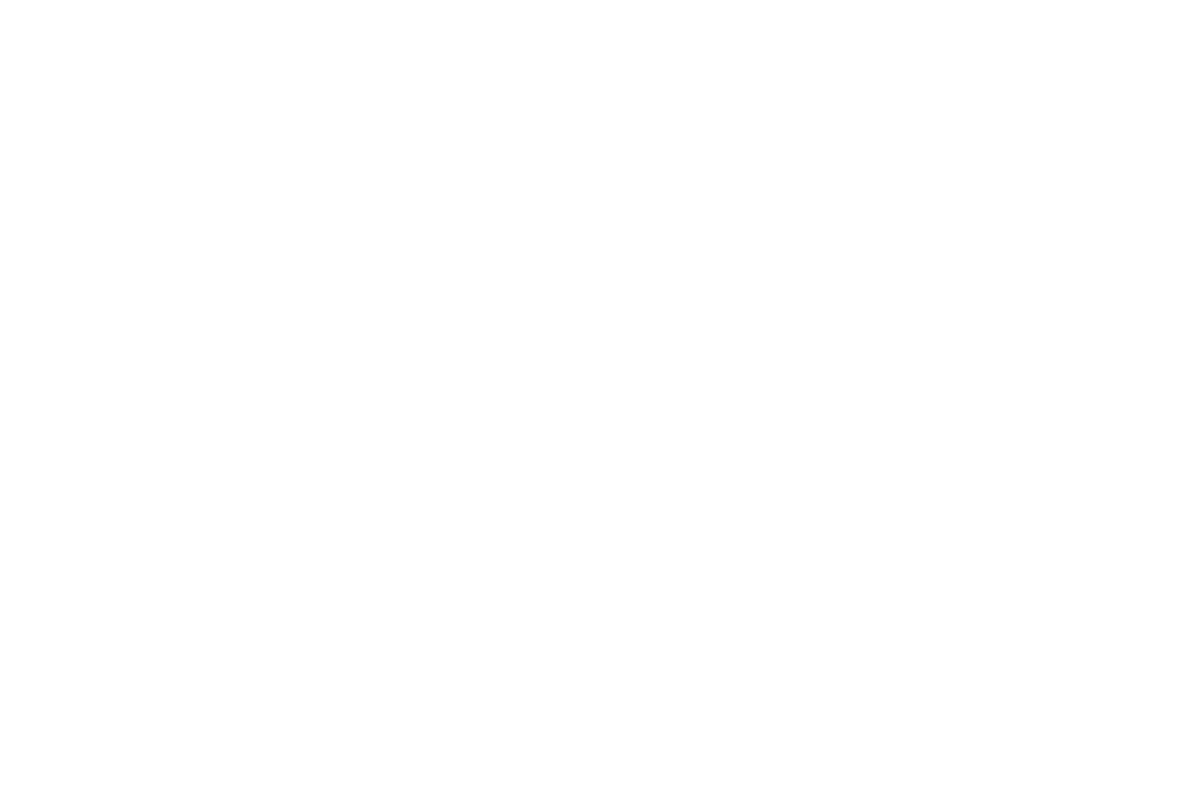 Transparent Efficient Communication Concept with Diverse Hands