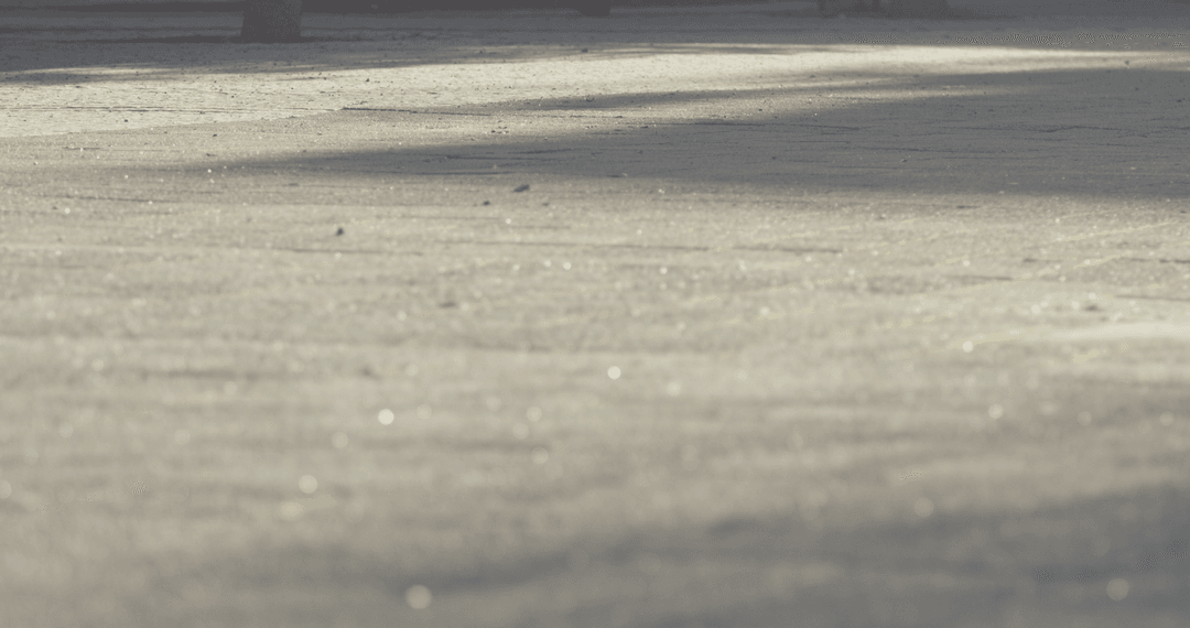 Transparent Shadows Casting on Sunlit Street Texture