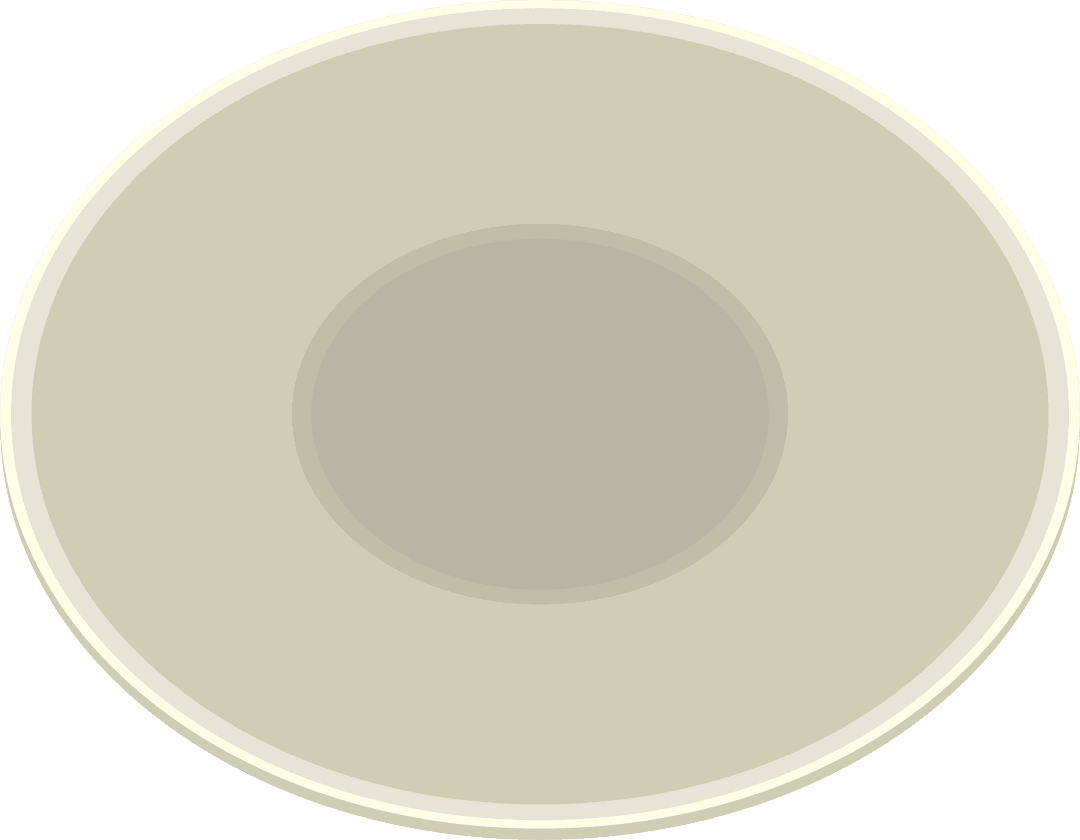 Minimalist Ceramic Plate with Concentric Rings on Transparent Background
