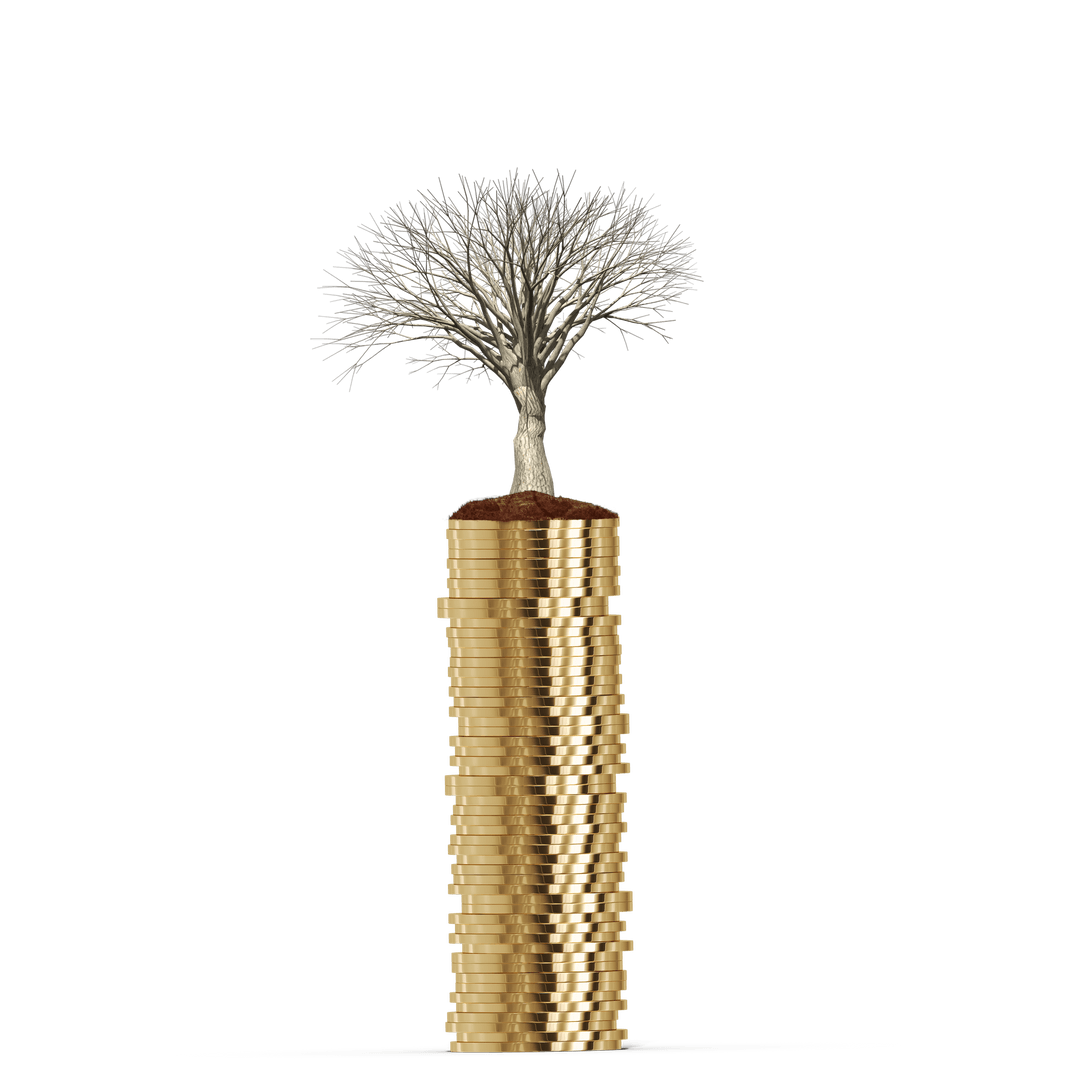 Tree Growing from Stack of Gold Coins on Transparent Background