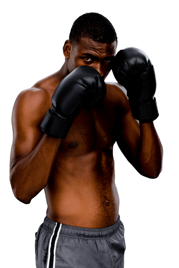 Focused African American Boxer in Boxing Gloves on Transparent Background - Download Free Stock Images Pikwizard.com