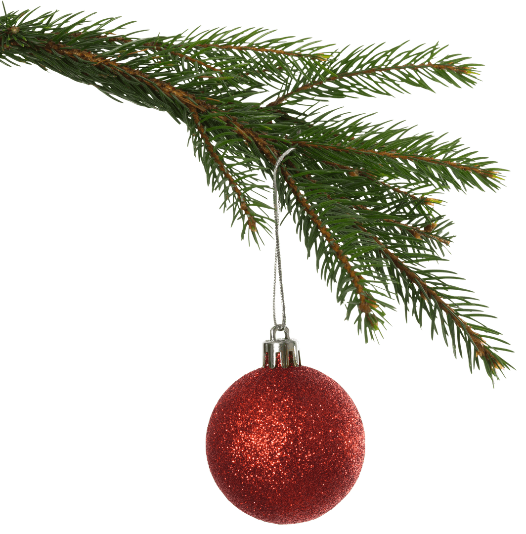 Transparent Red Glittery Ornament Hanging on Evergreen Branch
