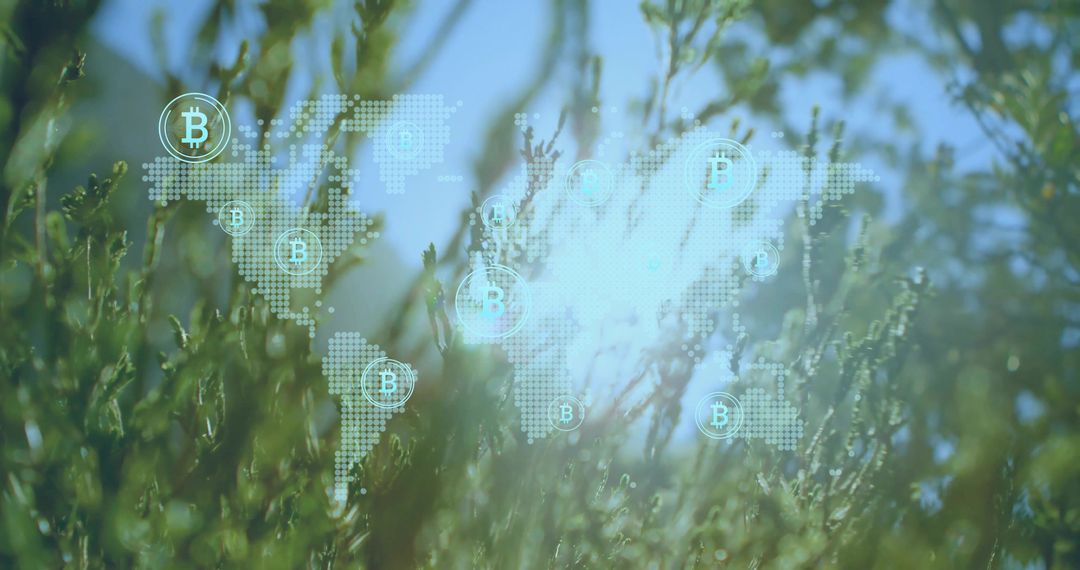Conceptual Bitcoin Network Overlapping Sunlit Green Foliage