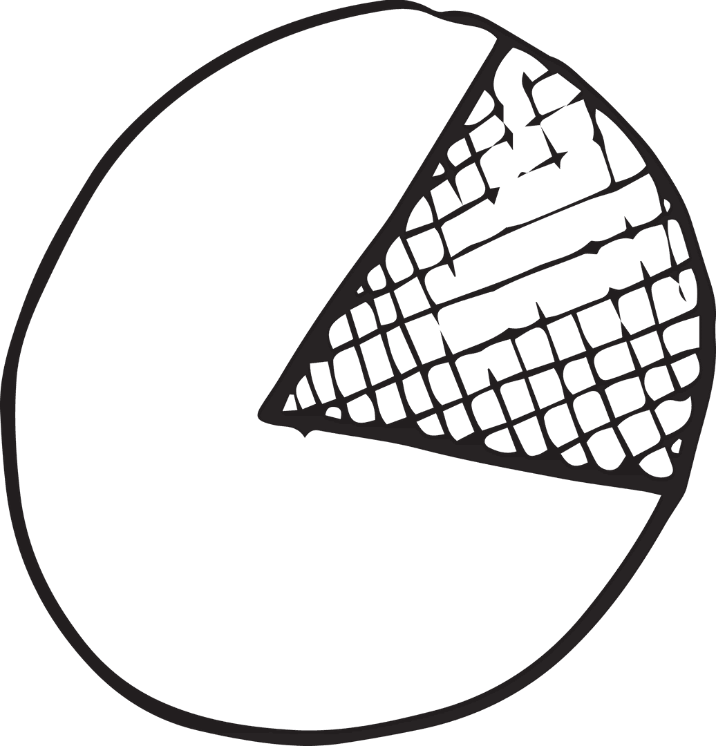 Hand-Drawn Transparent Pie Chart Illustration