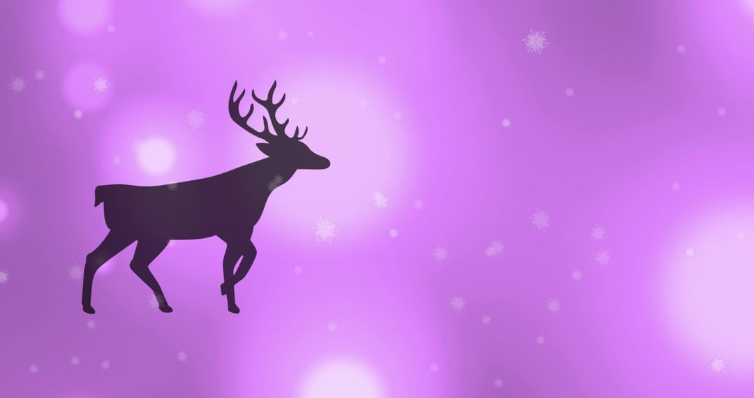 Reindeer Silhouette on Festive Purple Background - Free Images, Stock Photos and Pictures on Pikwizard.com