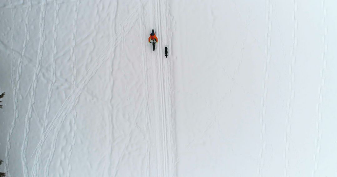 Man Sledding with Dog on Snowy Terrain, Aerial View - Free Images, Stock Photos and Pictures on Pikwizard.com
