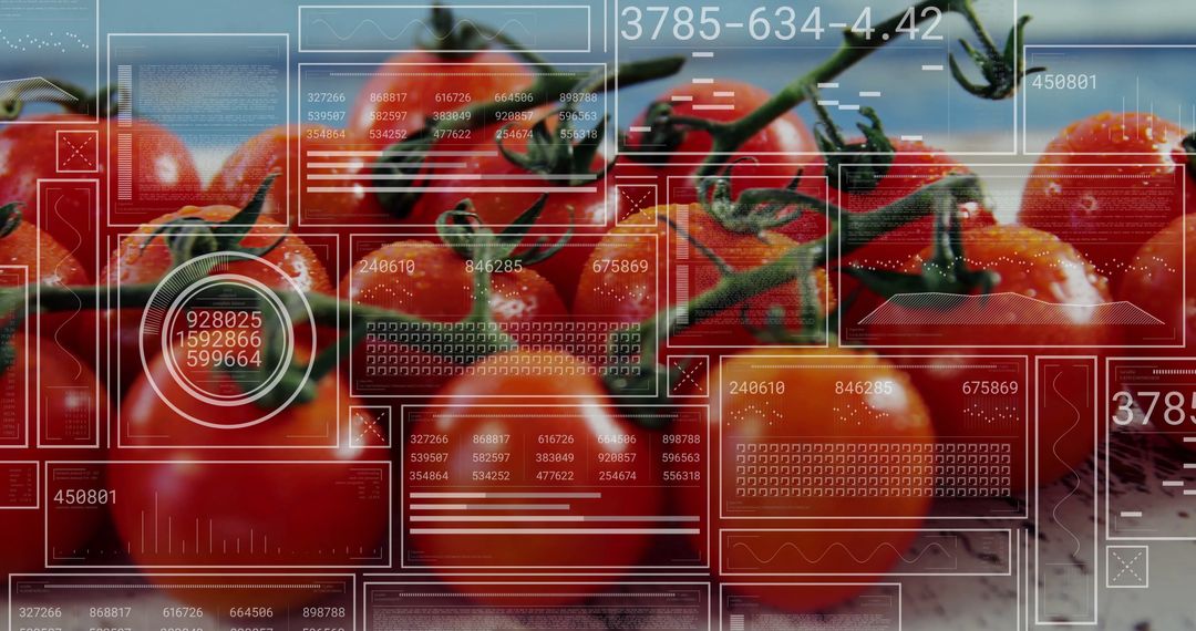 Digitally Enhanced Vine-Ripened Tomatoes Highlighting AgroTech