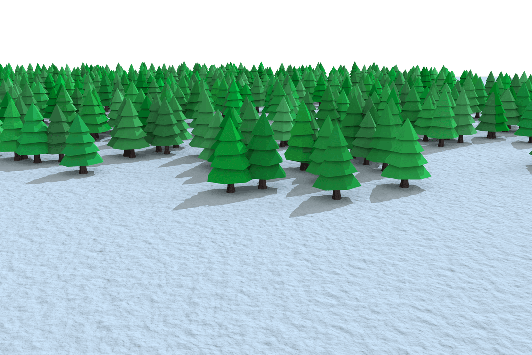 Transparent Winter Forest with Green Trees and Snow