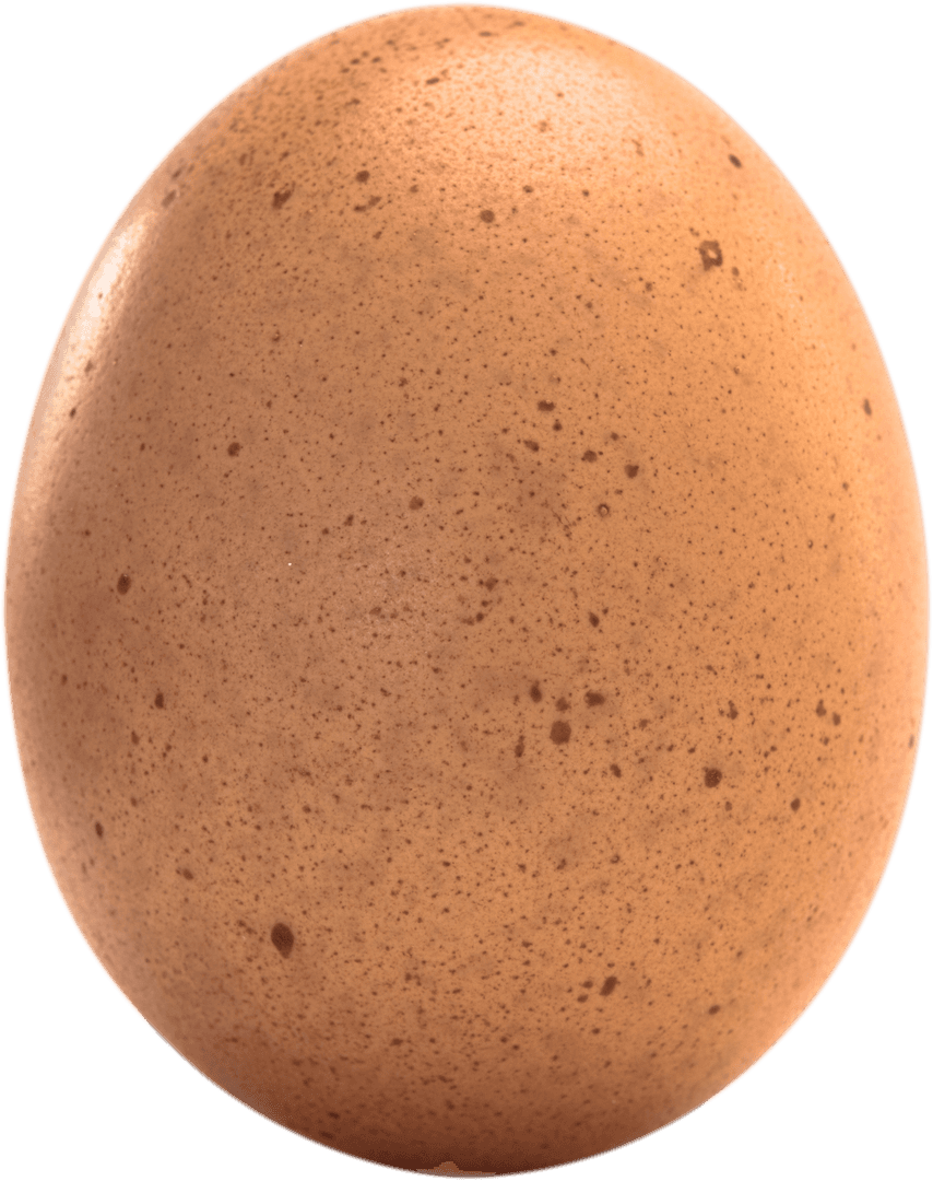 Chicken Egg Illustration on Transparent Background