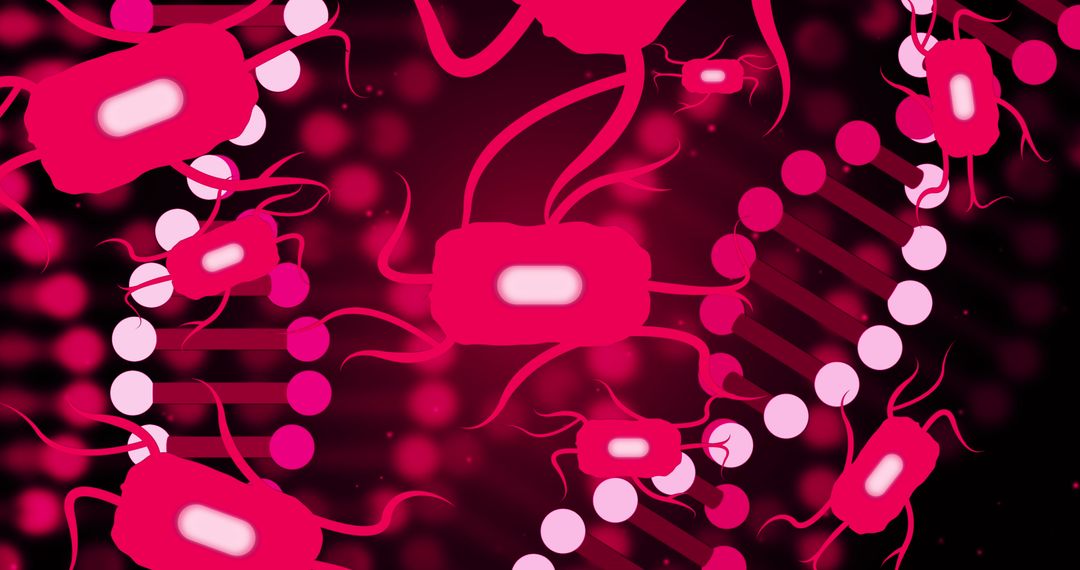 Digital Representation of DNA and Neuron Connections in Human Biology