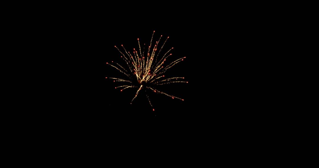 Single Firework Burst Illuminating Dark Sky