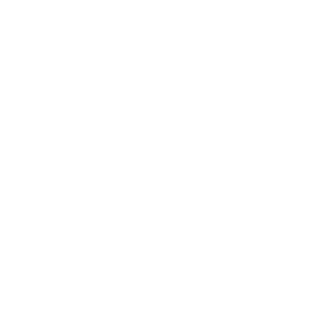 White 16 with Decorative Pattern on Transparent Background