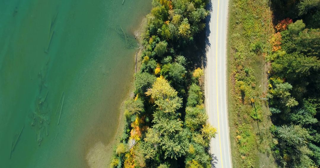 Aerial View of Quiet Lakeside Road and Forested Shoreline - Free Images, Stock Photos and Pictures on Pikwizard.com