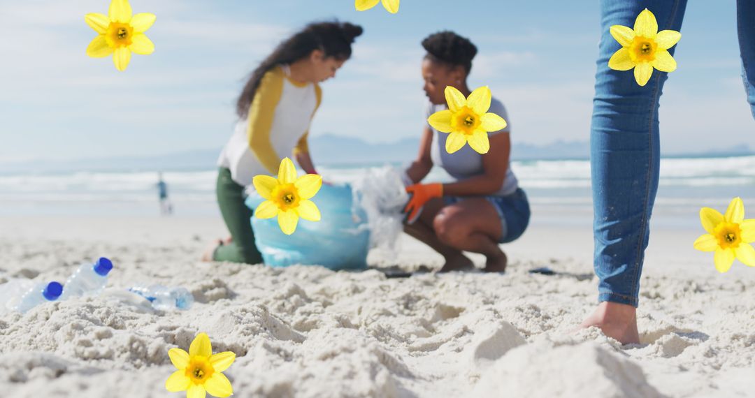 Diverse Volunteers Cleaning Beach with Blooming Daffodils Overlay