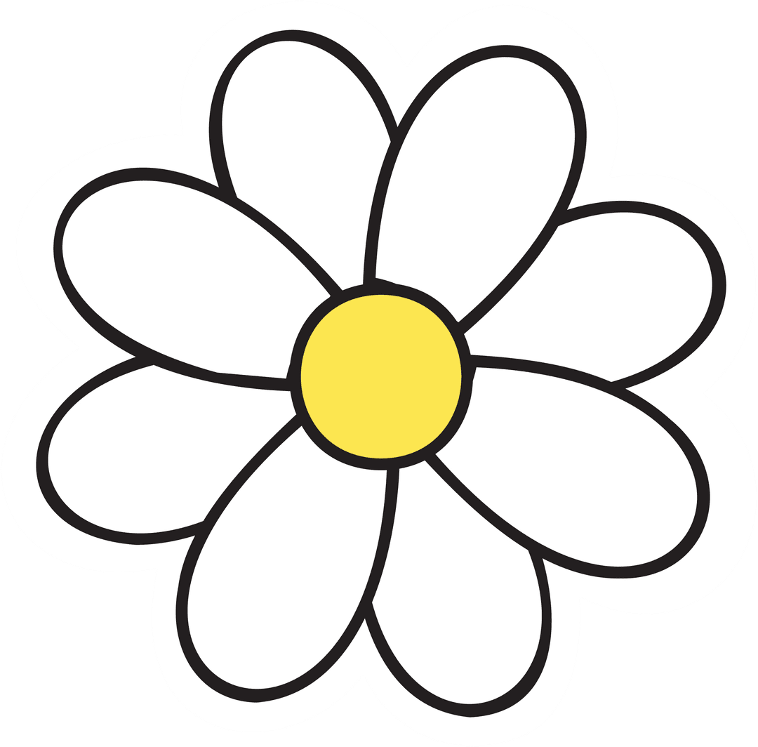 Colorful Daisy On Transparent Background Floral Illustration