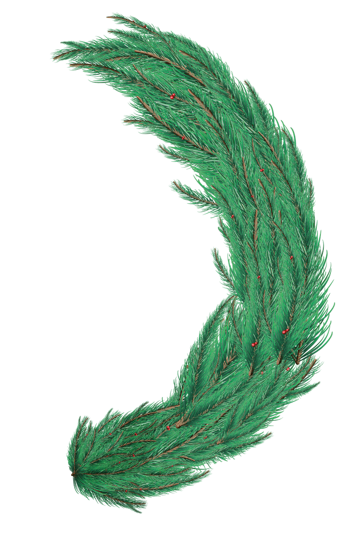 Green Fir Tree Branch Transparent Background Curved Decor